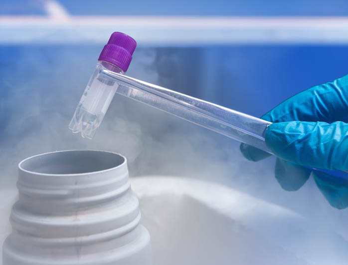 Maximal outcomes with minimal stimulation: How IVF Lite works?